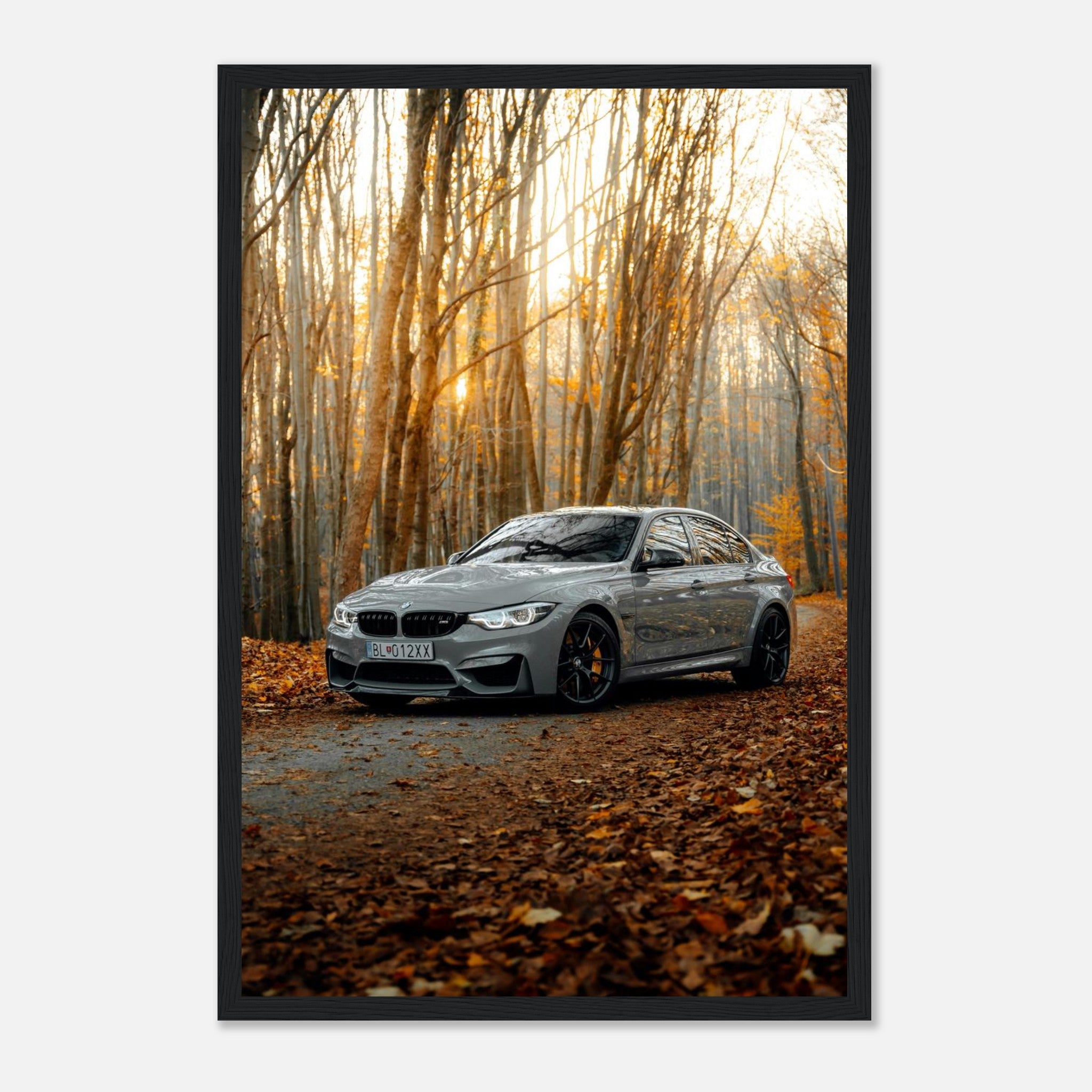 20bf605a-5094-4fbc-8bbd-425f4687e856