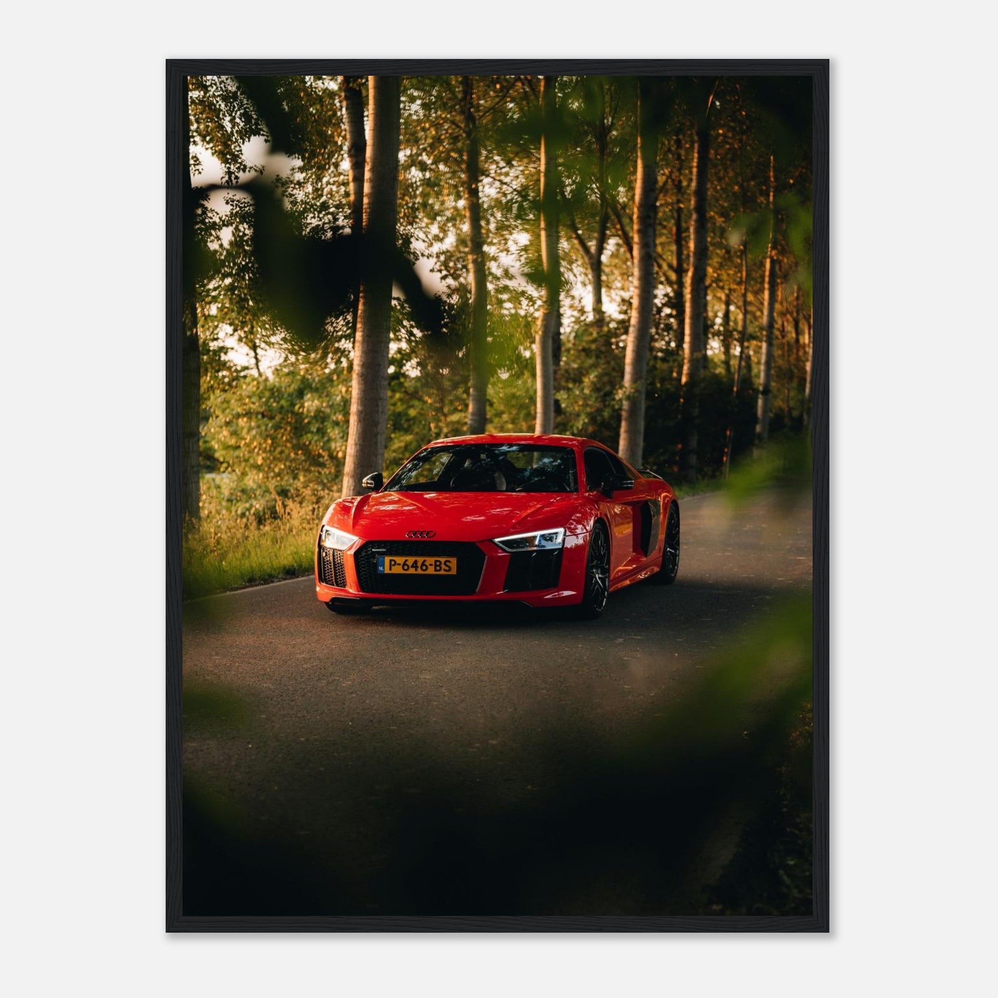 555f3dbd-fe66-4423-ad4d-db535fdfc0c7