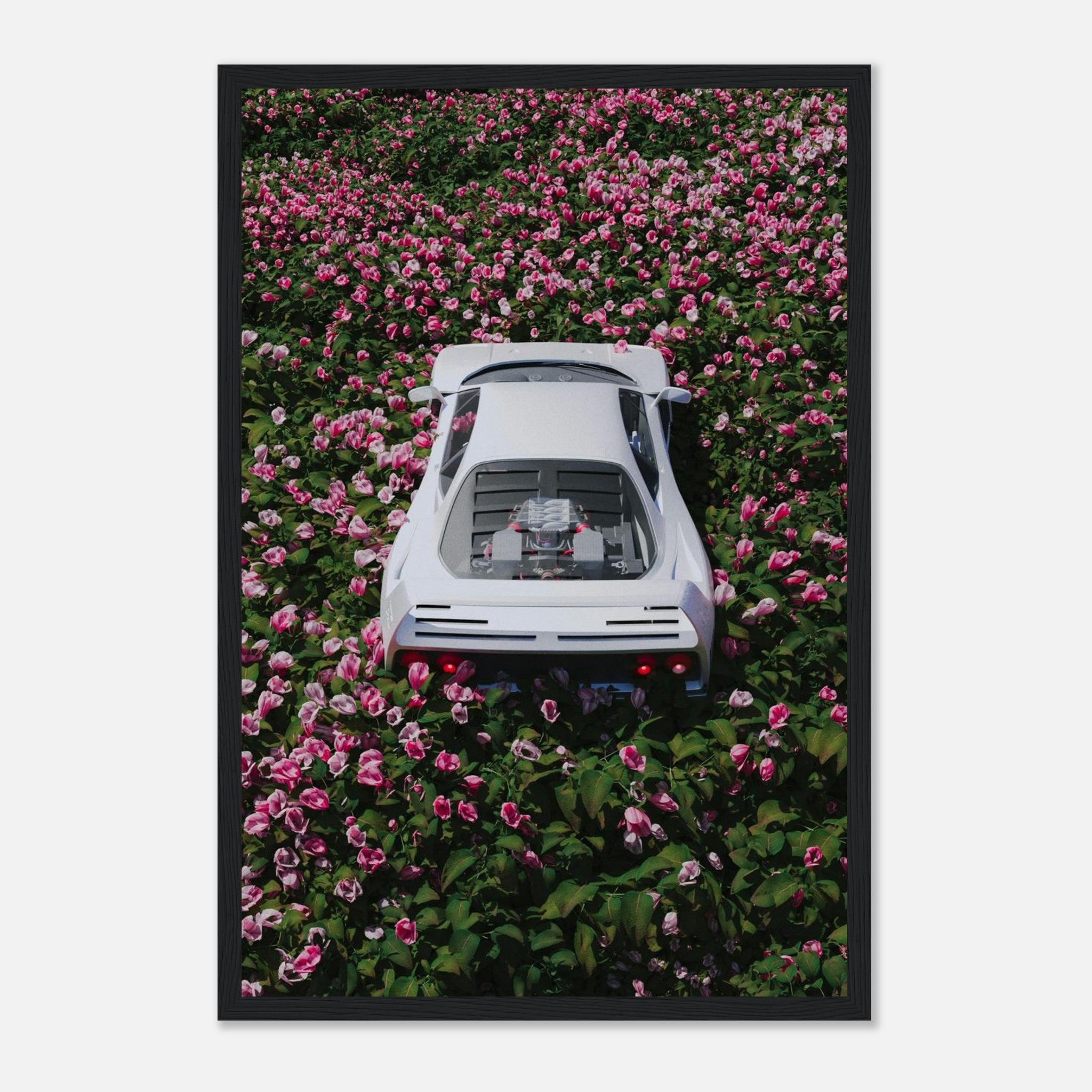 6c91b56b-fe9c-46c4-825d-49ced56e440a