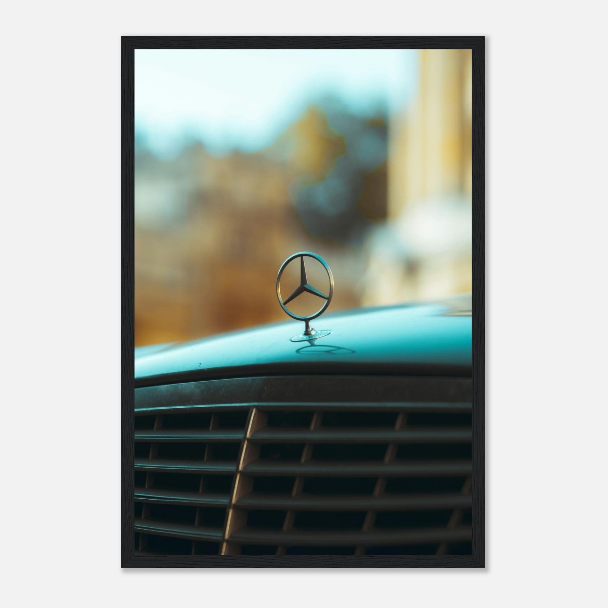 c5277938-8dc3-4584-99c4-7b94c6a18a9a