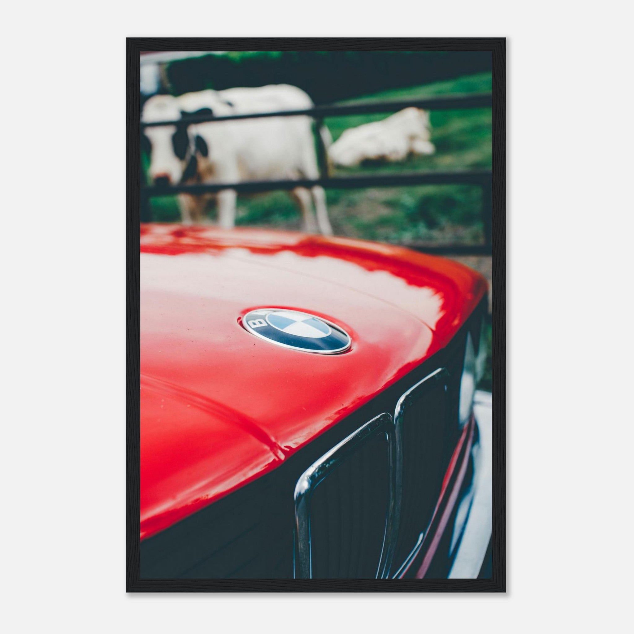 e5d4f22e-6894-4b55-910b-1d1736cd41e6