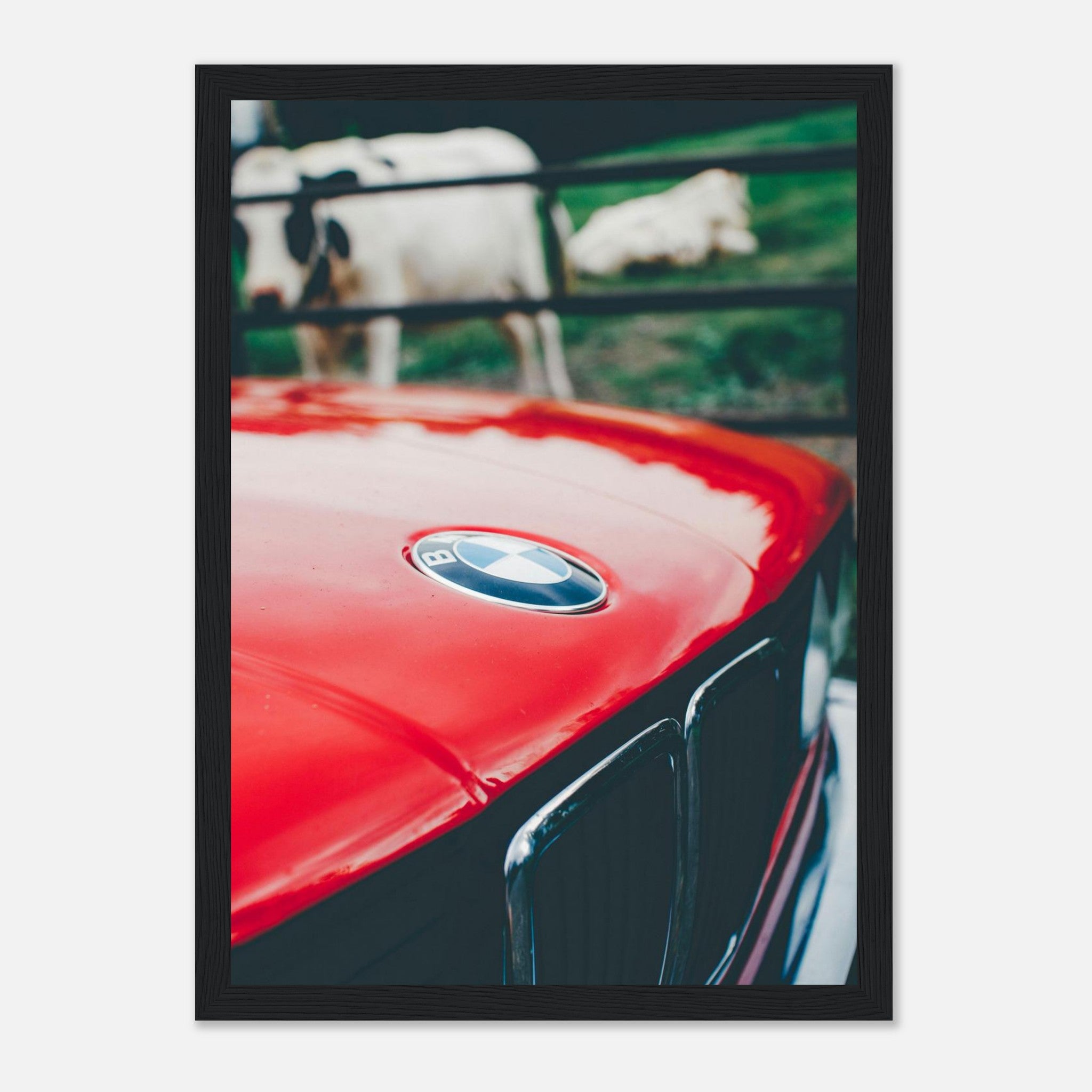 0dcd4f50-21d2-4fad-a682-80f8b95f59db