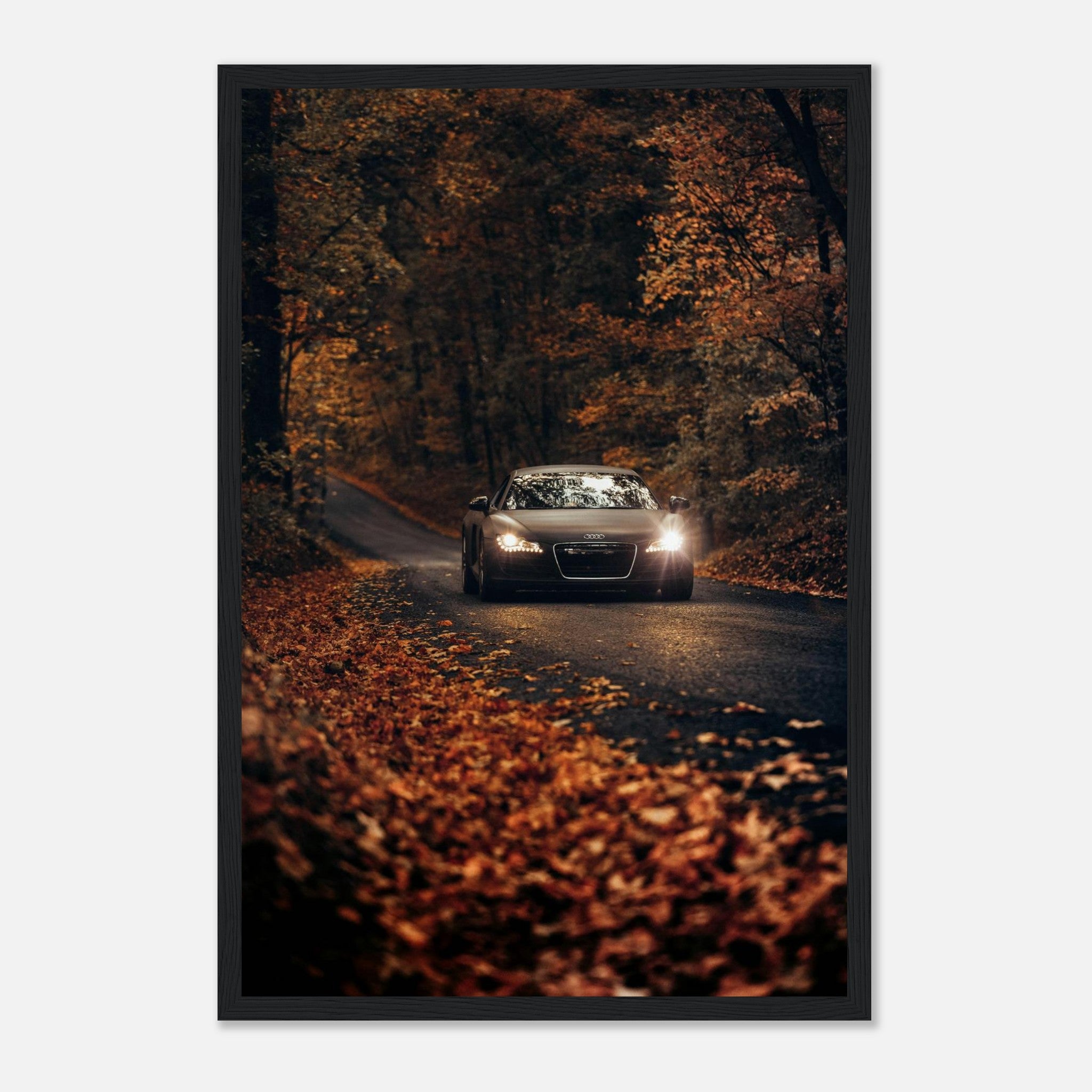 76e3ca6e-4800-4a6d-ad65-44a4e3f57fa8