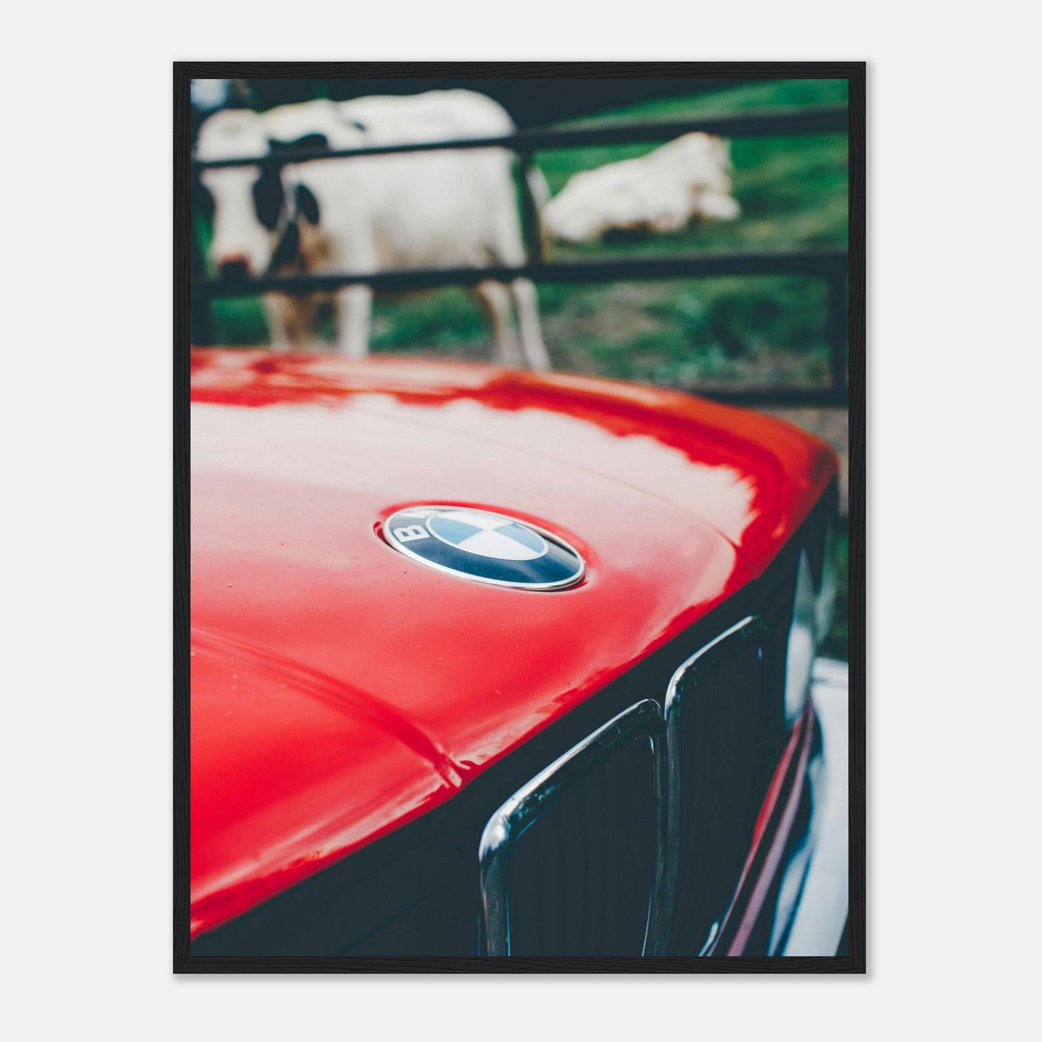 a07fb007-7a6f-4c54-833a-a8434ac1c6af